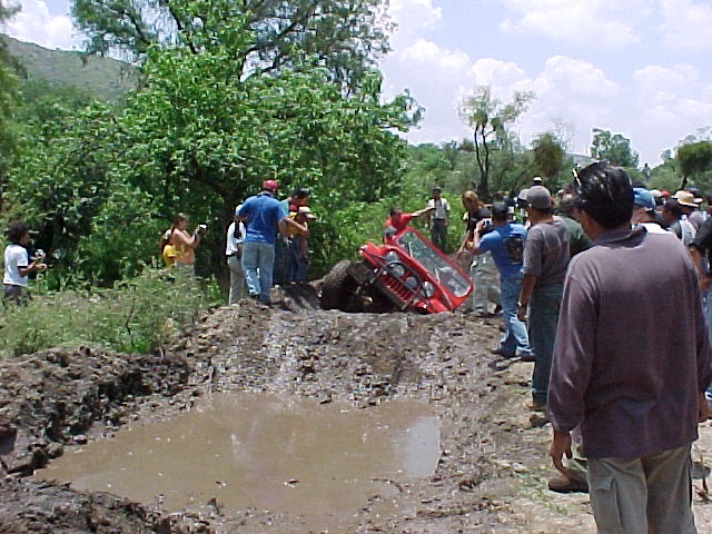 Posted Image